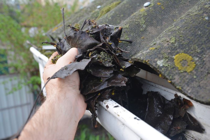 Gutter Leaves Removal in Rochester, NY