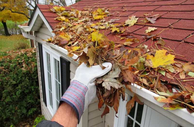 Rain Gutter Clearing in Long Island, NY