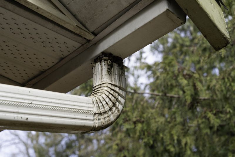 Downspout Blockage Removal in Rochester, NY