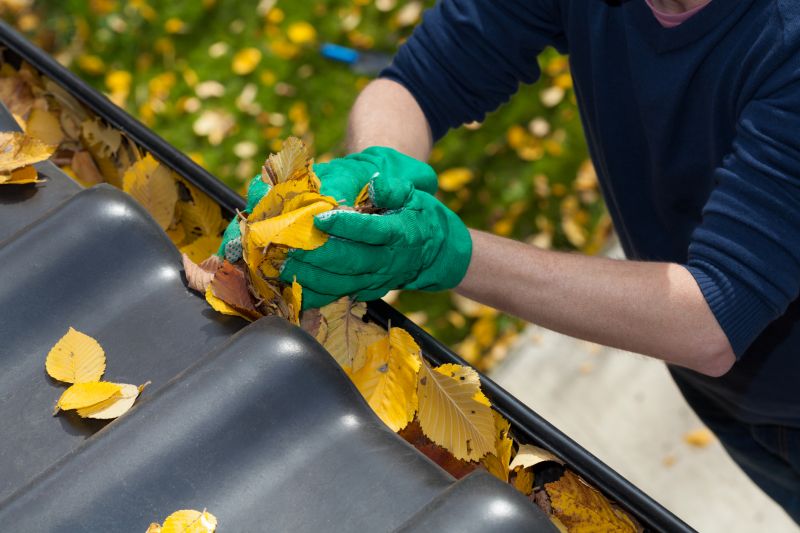 Gutter Leaves Removal in Annapolis, MD
