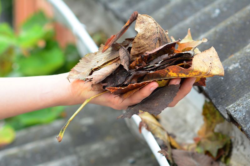 Gutter Leaves Removal in Bergen County, NJ