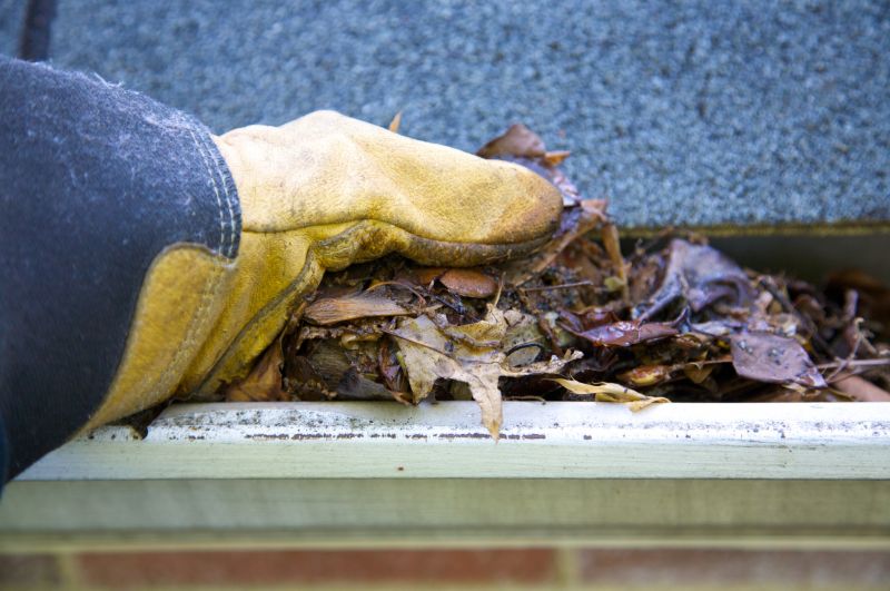 Gutter Pine Needle Removal in Westchester County, NY