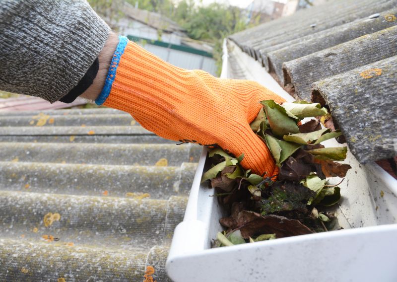 Gutter Pine Needle Removal in Bergen County, NJ