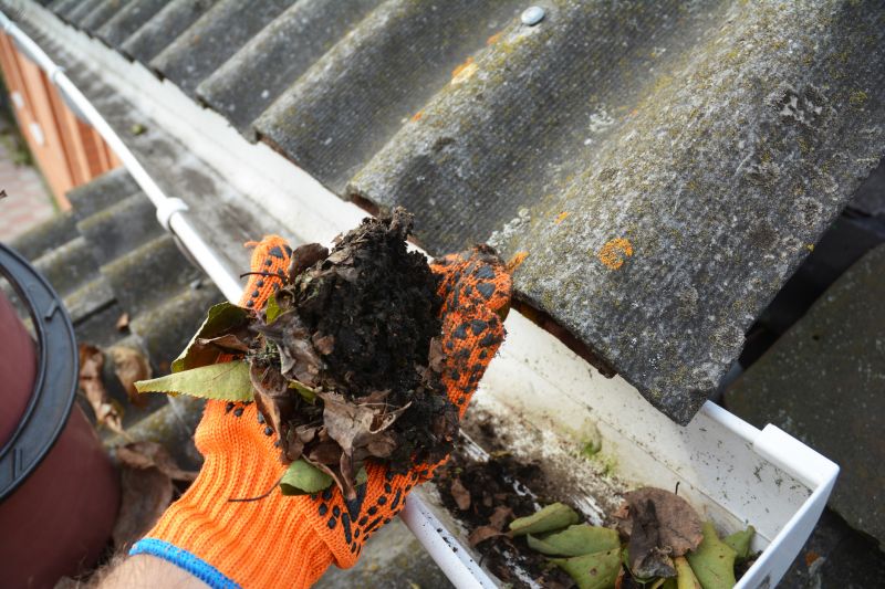 Rain Gutter Clearing in Longmont, CO