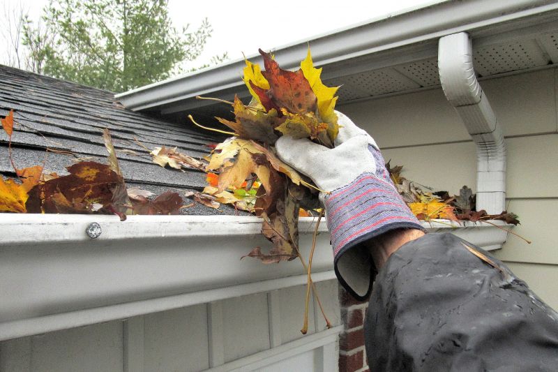 Roof Gutter Cleaning in Longmont, CO