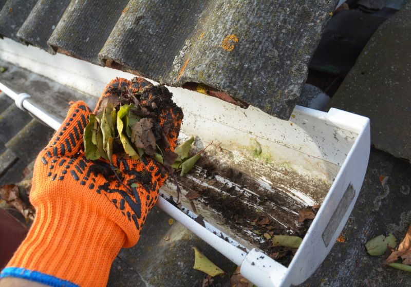Roof Gutter Cleaning in Westchester County, NY